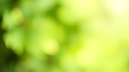 Obraz premium Green Organic Gradient Blur Background for Eco-Friendly and Nature Branding