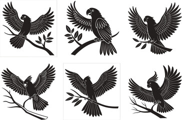 Obraz premium Elegant Black Cockatoo Illustrations Exotic Bird Collection.