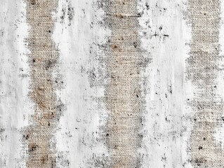Minimalistic Grey Texture with Natural Grain Elements