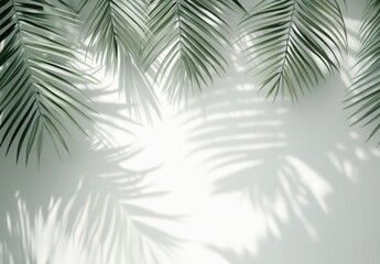Lush green palm leaves casting delicate shadows on a soft, light background creating a serene and tropical atmosphere for design and decoration purposes