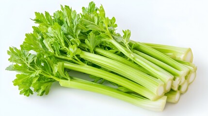 celery on white background