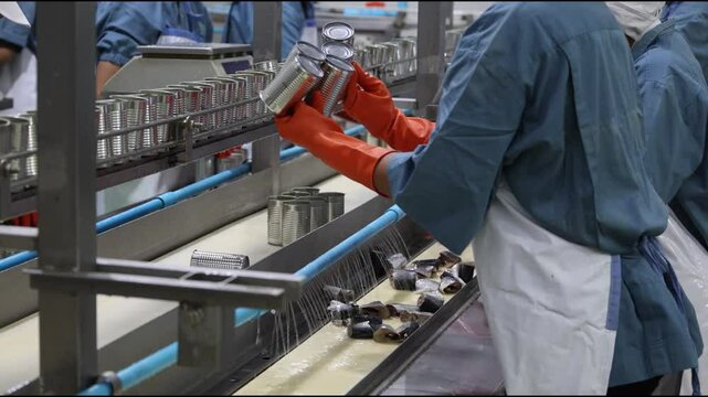 Food factory line workers fish packing in tin can process in canned fish factory