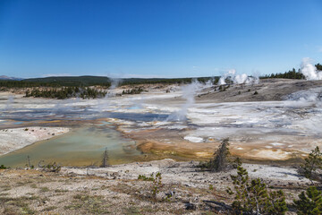 Mammoth Hot Springs, Yellowstone National Park