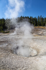 Mammoth Hot Springs, Yellowstone National Park