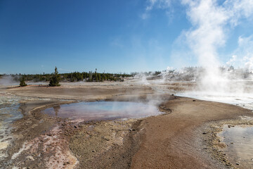 Mammoth Hot Springs, Yellowstone National Park