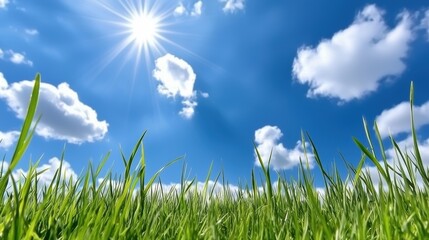 A bright blue sky dotted with fluffy clouds above lush green grass, illuminated by the warm sun, creating a serene natural landscape.