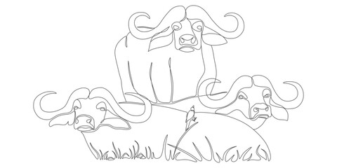 Buffalo Herd in the Wild – Minimalist Line Art Illustration
