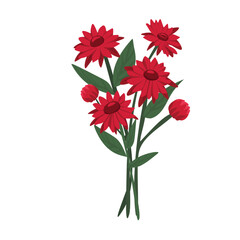 Vibrant Red Gerbera Daisy Flower in Full Bloom with Lush Petals