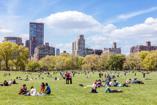 Lawn in Central Park in springtime with people, New York city, USA