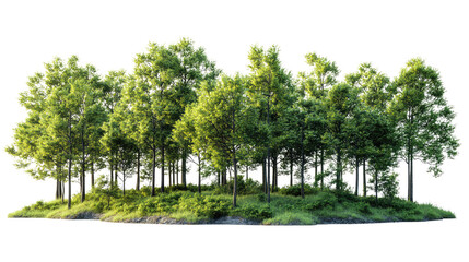 Lush Grove Island: A cluster of vibrant green trees flourishes on a small island, their leaves catching the sunlight, creating a sense of tranquility and natural beauty.