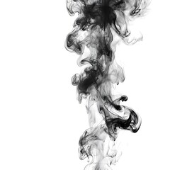Fototapeta premium A detailed artistic image displaying black smoke on white background