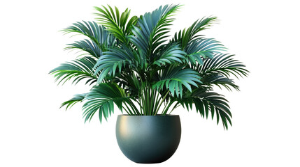 Obraz premium Palm in Planter: A lush, vibrant palm tree, boasting rich green fronds, thrives in a modern, stylish planter, evoking a sense of tropical tranquility and indoor freshness.