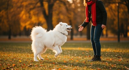 Woman and Samoyed dog playing in autumn park 