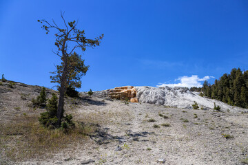Mammoth Hot Springs Yellowstone National Park