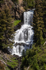 Fototapeta premium Grand Canyon of Yellowstone National Park