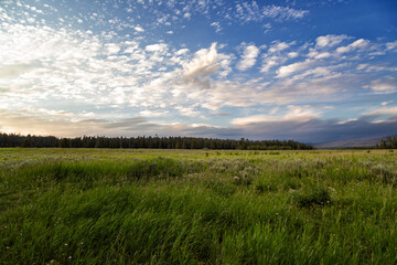 Yellowstone National Park in Wyoming