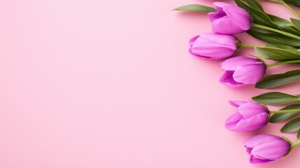 Obraz premium A soft pink background featuring a cluster of vibrant purple tulips with green leaves, creating a fresh and cheerful ambiance.