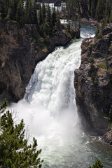 Obraz premium Grand Canyon of Yellowstone National Park