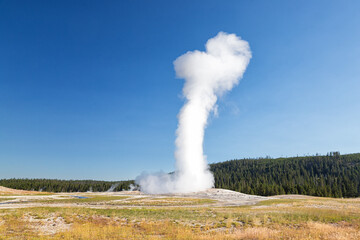 Old Faithful Geyser, Yellowstone National Park