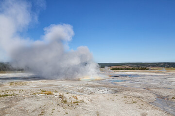 Geyser Basin in Yellowstone National Park