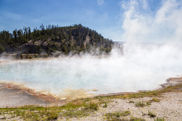 Geyser Basin in Yellowstone National Park