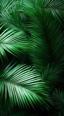 Aerial view of lush tropical palm leaves illustration