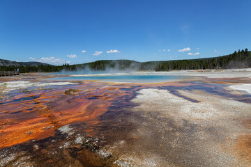 Geyser Basin in Yellowstone National Park