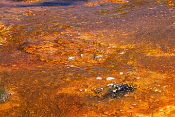 Geyser Basin in Yellowstone National Park