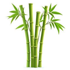 Fototapeta premium Lush Green Bamboo Plants Growing in Cluster