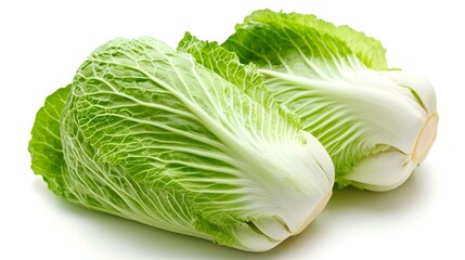 fresh chinese cabbage on a white background