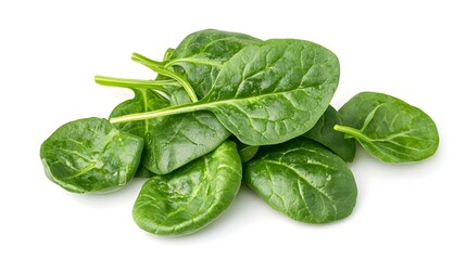Fototapeta premium spinach leaves isolated on white background