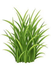 Obraz premium Fresh Green Grass Clump Illustration on Isolated White Background