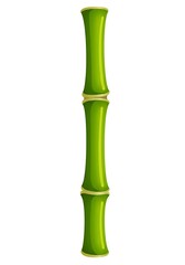 Fototapeta premium Green Bamboo Stem Illustration Graphic on Isolated White Background