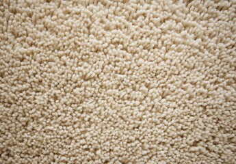 Soft and Cozy Textured Close-up of a Fluffy Beige Carpet Perfect for Interior Design and Home Decor Projects