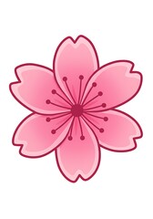 Fototapeta premium Isolated Cherry Blossom Flower Illustration with Pink Petals on White Background