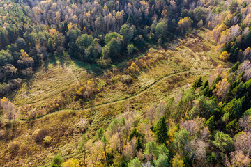 Top view of a field in a forest through which a country road passes