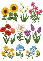 Assorted Flower Collection Including Sunflower, Tulip, Lily, Poppy Illustration