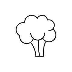 Broccoli icon isolated