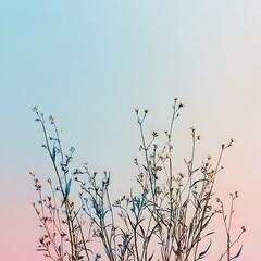 Obraz premium Pastel Sky Wildflowers Delicate Blooms Soft Light