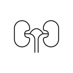 Kidney icon isolated
