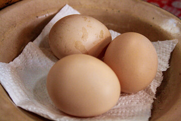 Fresh chicken eggs are placed on a tissue-lined plate