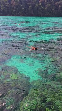 Discover the breathtaking beauty of Surin Island in Thailand. Clear turquoise waters invite adventurous swimmers to explore vibrant coral reefs and marine life under the sun.