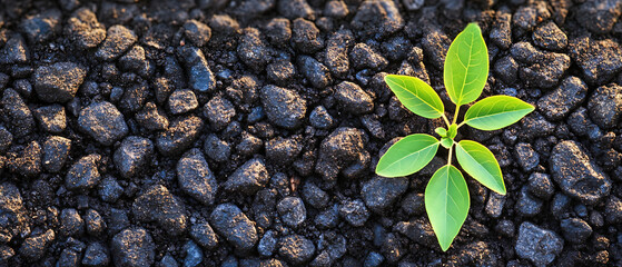 Naklejka premium Eco-friendly Photo featuring recycling and nature themes