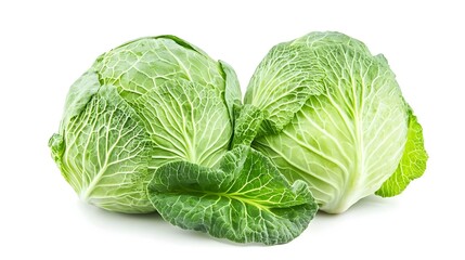 Fototapeta premium cabbage on white background