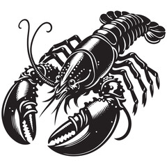 Seafood lobster vector illustration
