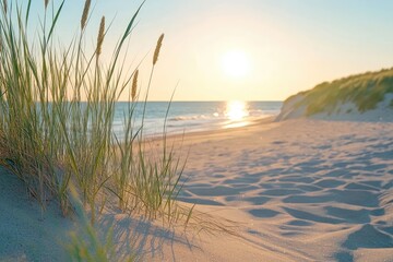 Golden sunset over a tranquil beach, with dune grasses framing the scene. Soft light bathes the sandy shore, leading to a serene ocean view