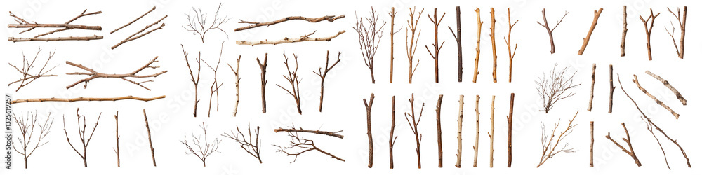 Poster scattered arrangement of dry bare twigs and branches in a natural rustic setting organic textured ba