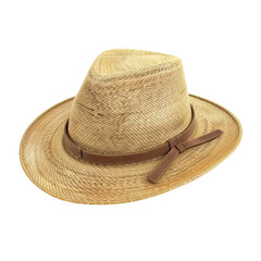 Stylish straw hat with a brown band on a white background.