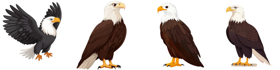 Fototapeta premium Majestic Bald Eagles Soaring High in the Sky Symbols of Freedom and Strength These powerful iconic birds of prey are the national emblem of the United States