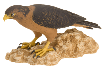 A realistic model of a hawk perched on a rock, showcasing intricate details and natural colors.